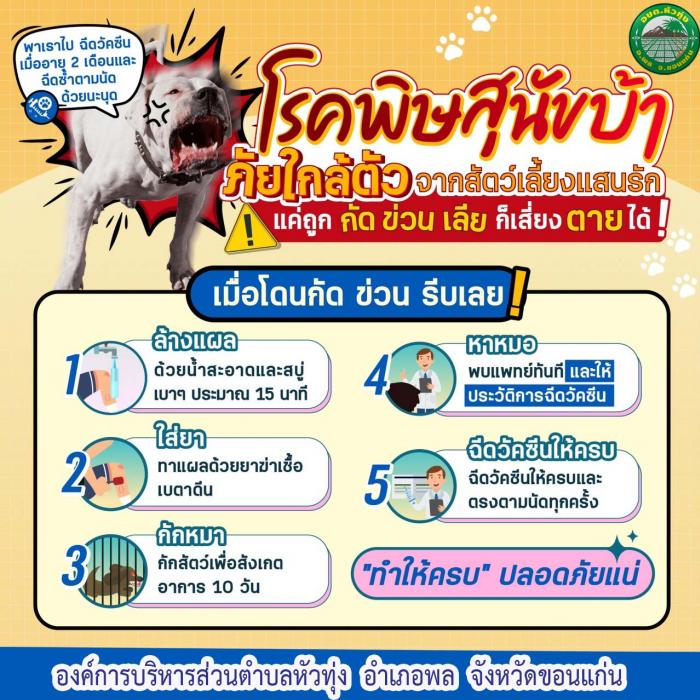 โรคพิษสุนัขบ้า ภัยใกล้ตัว จากสัตว์เลี้ยงเเสนรัก
